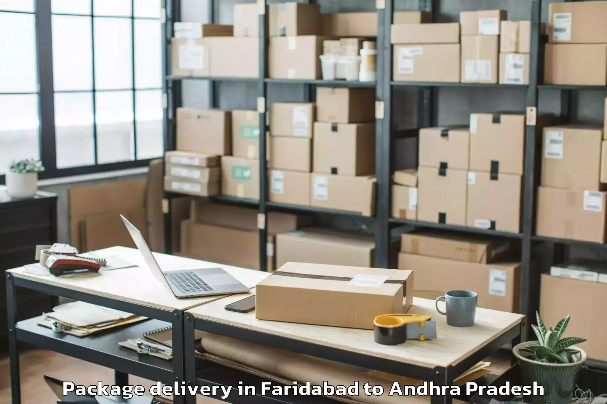 Quality Faridabad to Chejerla Package Delivery